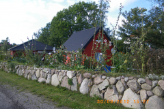 IMGP7386