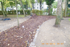 IMGP7456