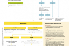 Organigramm